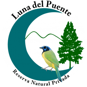 CC_20190828_172223 – Luna del Puente Reserva Natural Privada